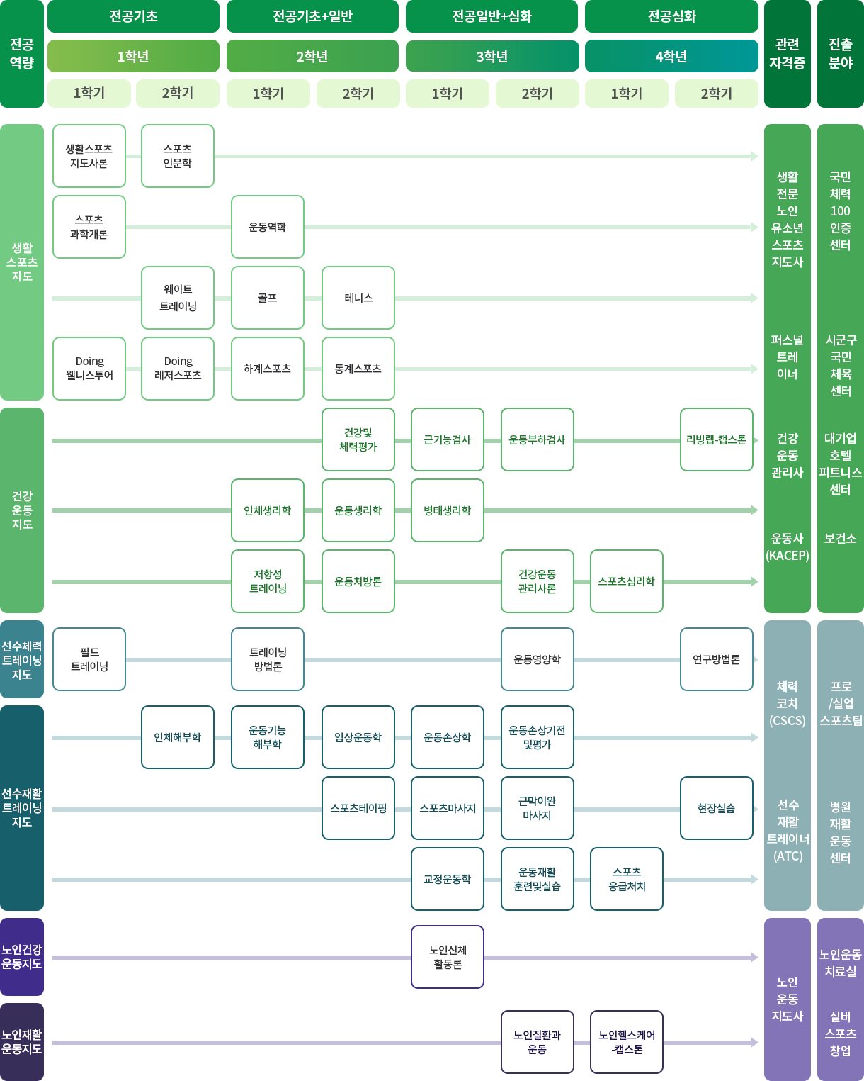 스포츠재활학과 이수체계도
